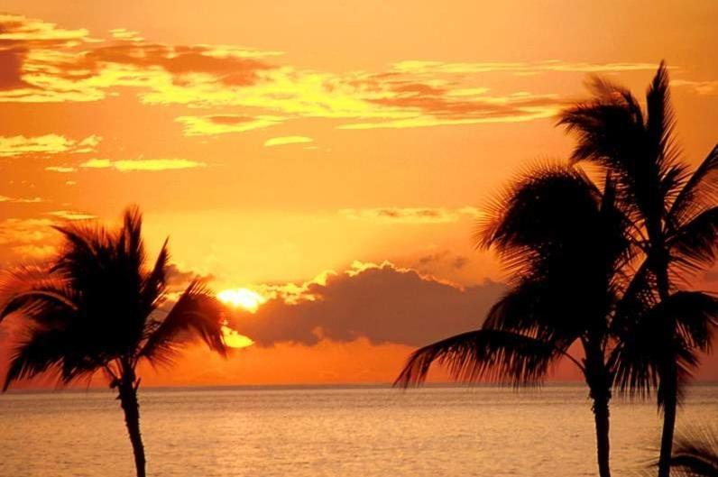Ap Cote Com Vista Para Mar E Bicicletas Maceió Exterior foto